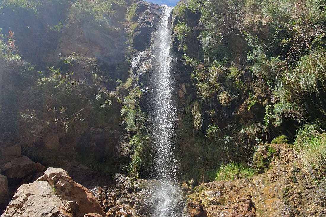 Cascada del Chorro de San Ignacio rodeada de bosque serrano en Villa Larca.