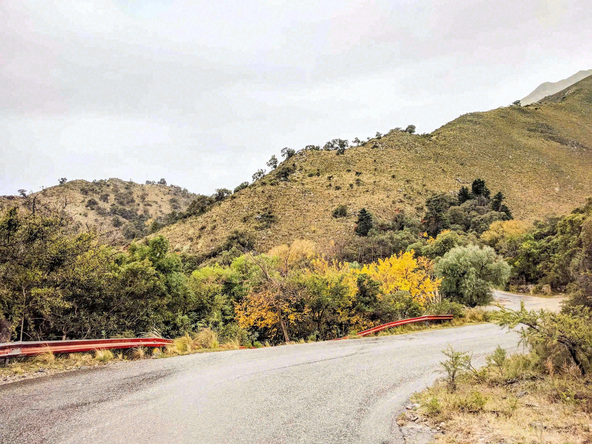 Sendero en la Reserva Florofaunística de Merlo con naturaleza y acceso al agua.