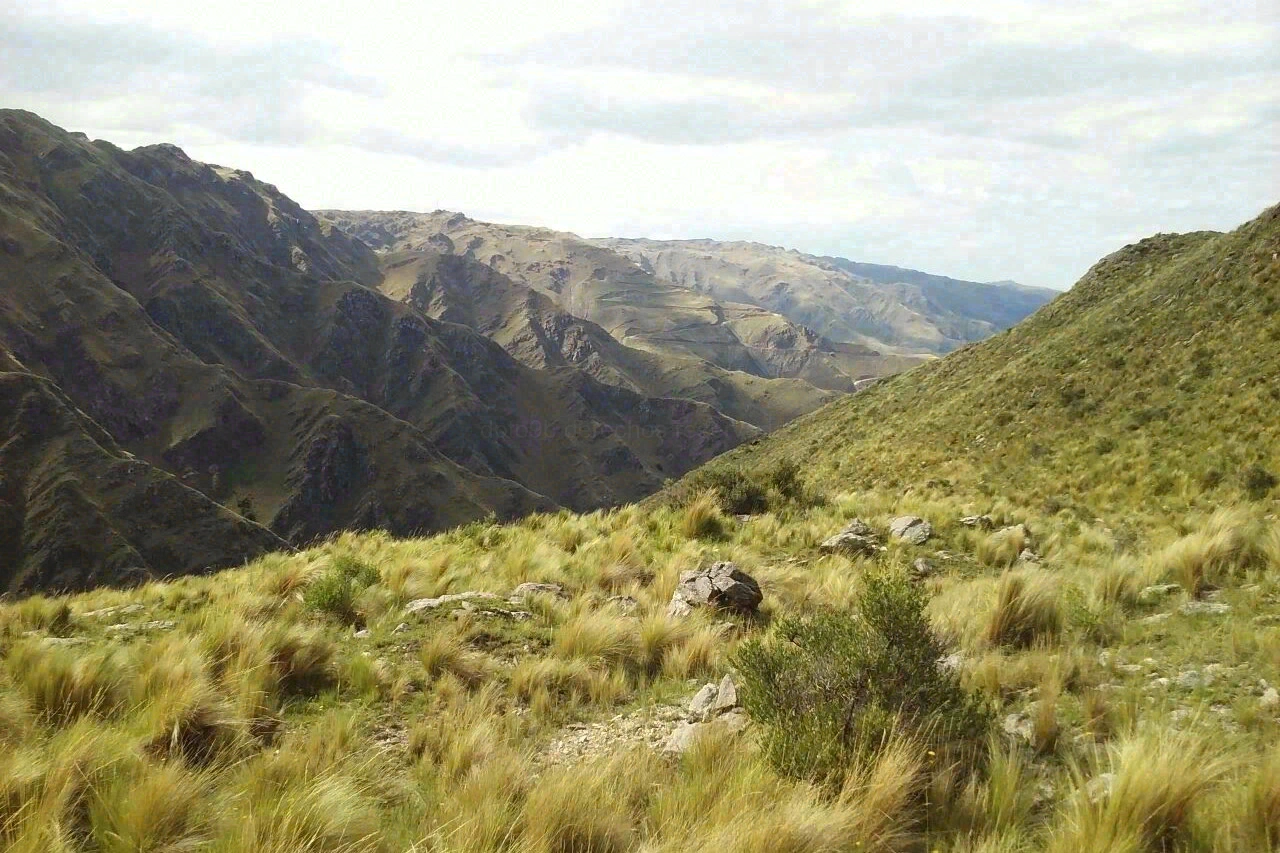 Sendero de baja dificultad rodeado de vegetación autóctona en Merlo