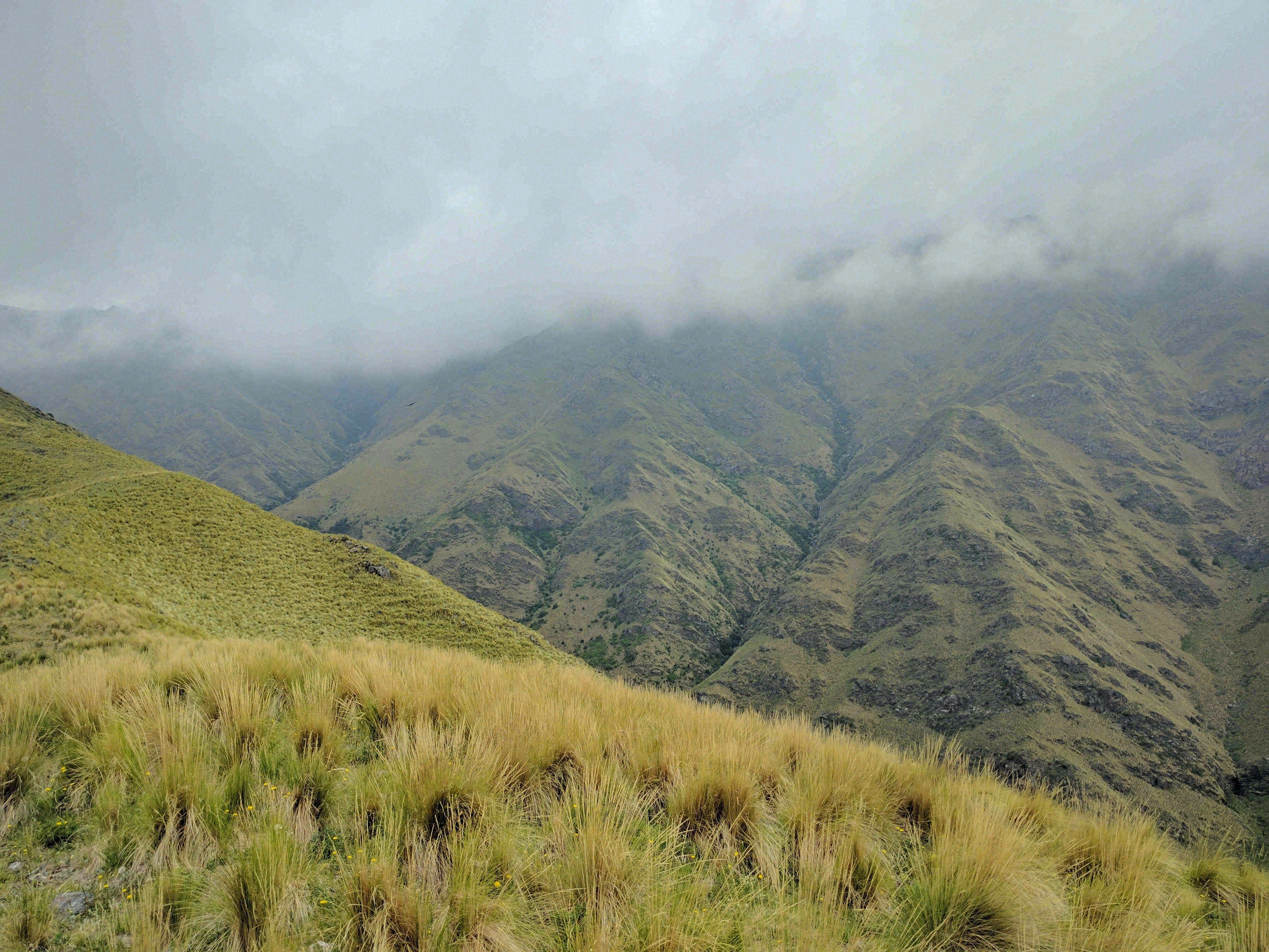 Vista panorámica de los senderos de la Reserva Mogote Bayo en las sierras de Villa de Merlo, San Luis.