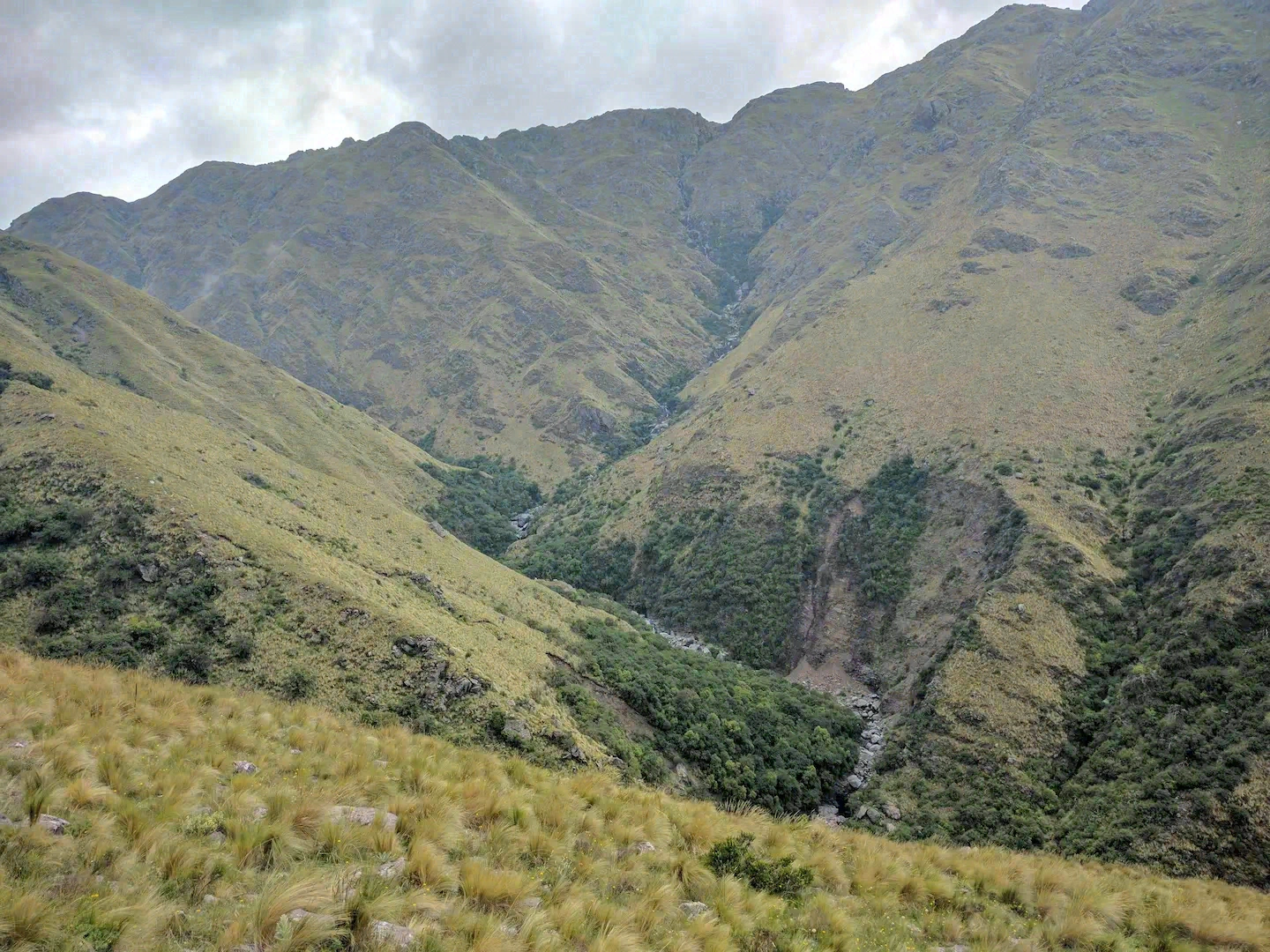 Sendero ascendente en la Reserva Natural Mogote Bayo rodeado de vegetación autóctona puntana.